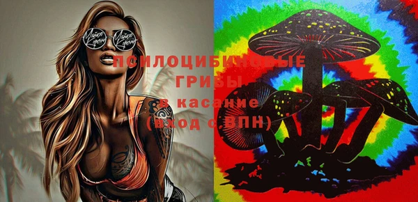 apvp Надым