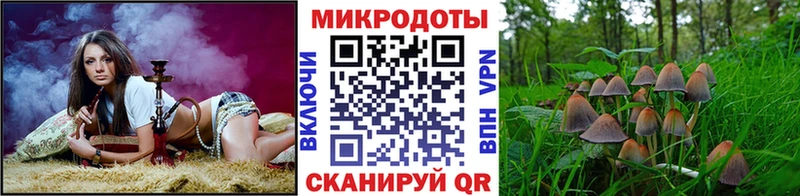 где купить наркоту  omg зеркало  Псилоцибиновые грибы прущие грибы  Тутаев 